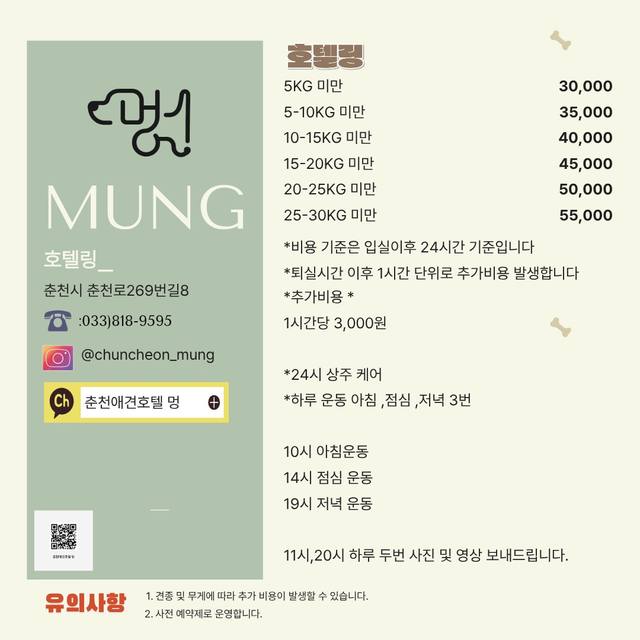 춘천애견호텔멍 매장 사진